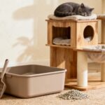 Arbre à chat et litière : guide complet pour le confort de votre félin sans aucun texte