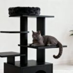 Arbre à chat noir : un meuble moderne pour le bien-être de votre chat sans aucun texte