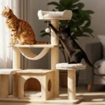 Choisir un arbre à chat adapté à un chat adulte sans aucun texte