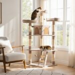 Où placer l'arbre à chat dans la maison : conseils pratiques sans aucun texte