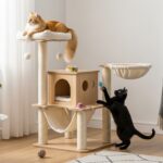 Choisir le meilleur arbre à chat pour votre félin sans aucun texte